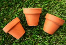 Mini terracotta bloempotjes (2 of 5cm), 3 stuks
